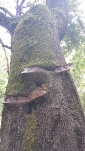 Very old trail signs at The Crossroads