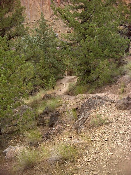 Near the Canyon Trail Rope De Dope trail intersection.