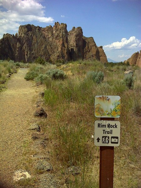 Go this way, typical trail section