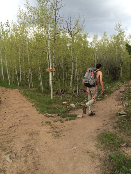 Left crosses the upcoming stream with no bridge, right leads you to a singlewide bridge.