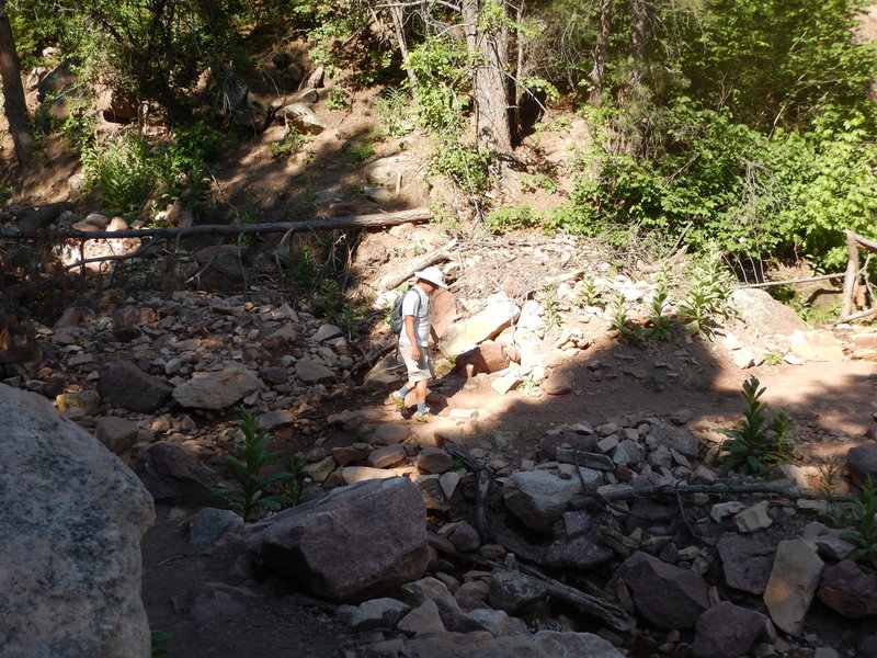 A lot of debris still clogging this stream from the 2013 flooding