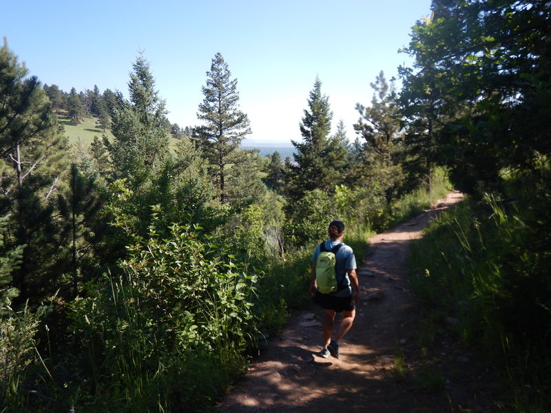 The rolling McClinttock Trail affords brief views