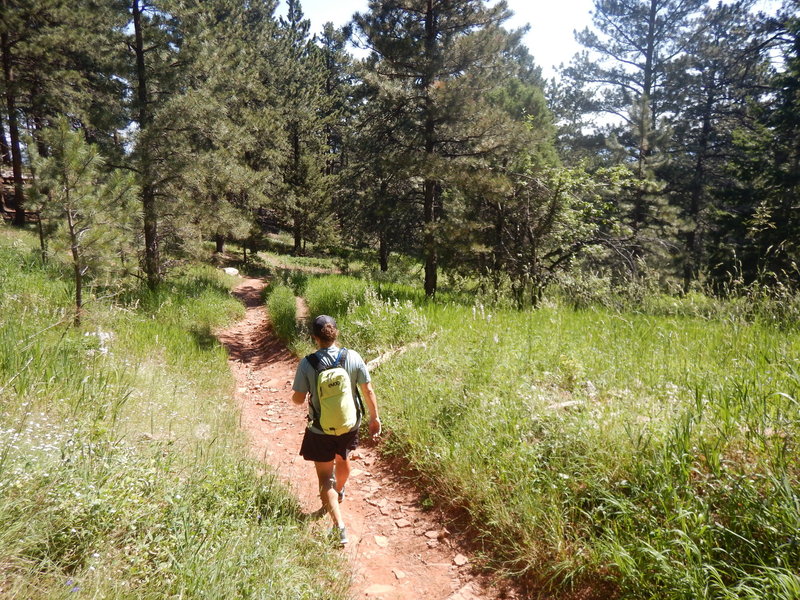 Descending the Woods Quarry Trail