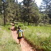 Descending the Woods Quarry Trail