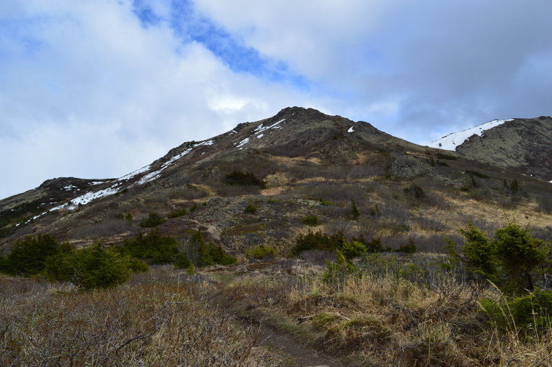 Just Past the Gnome forest looking up the trail to the top!