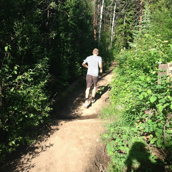 Taking off on the climb above Lower Fish Creek Falls