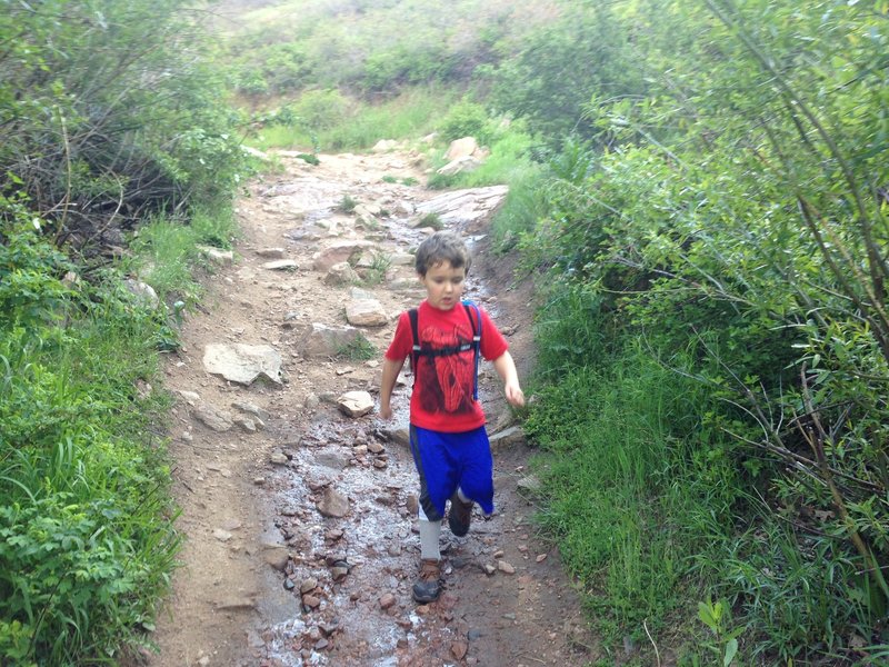 Plymouth Creek Trail, heading downhill