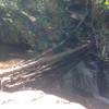 Water crossing after heavy rains along Beaver Brook trail