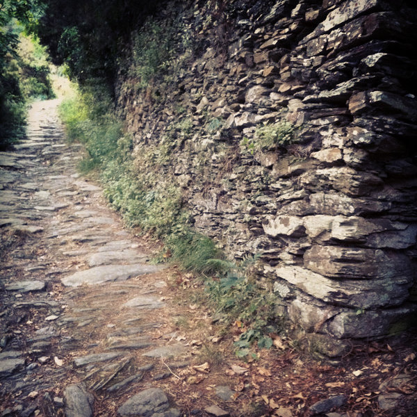 A dry stone wall along the old mule path from Riomaggiore to Montenero
