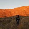 The rolling desert hills