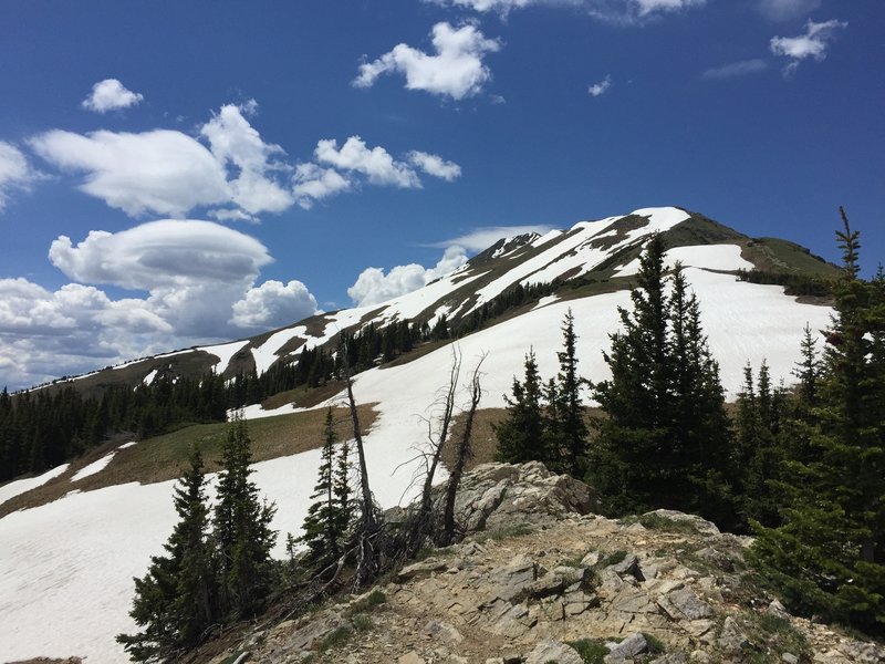 The view up the trail towards the summit from right at treeline