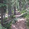 Heading up the trail near where the singletrack section starts