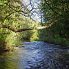 Andrew Molera State Park, River Trail, Big Sur River