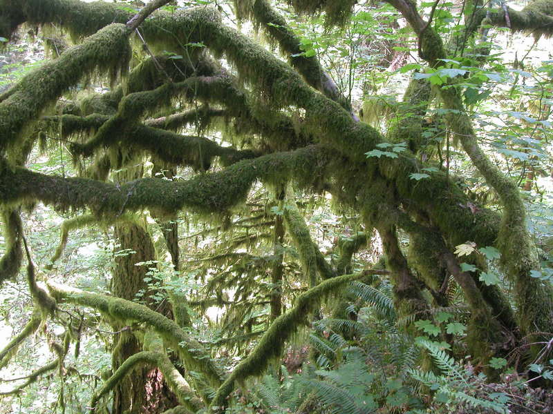 Columbia River Gorge