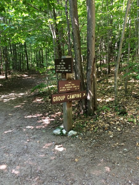 Holt Trail and Manning Trail Junction.