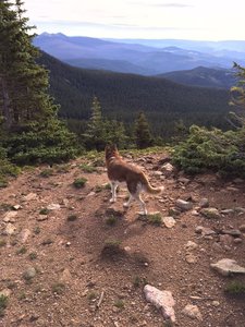 Scanning the route to the pointy Truchas peaks in the distance.