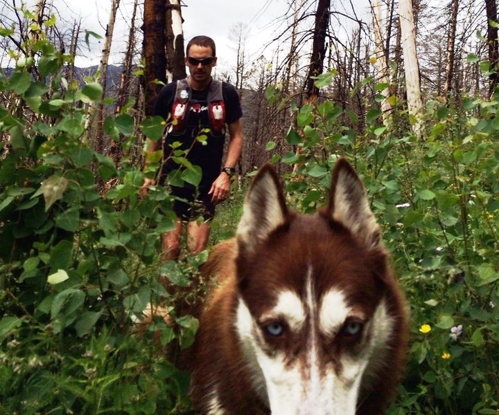 Route finding through the new growth after the fire 2 years ago.  Ultra dog is not too sure about this...