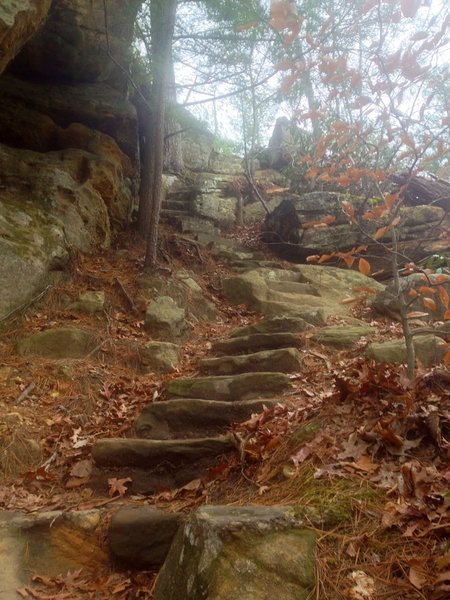 Rock Garden stairmaster