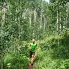 Bright green aspens!