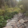 A 50' rocky section where a cliff has broken apart above the trail.