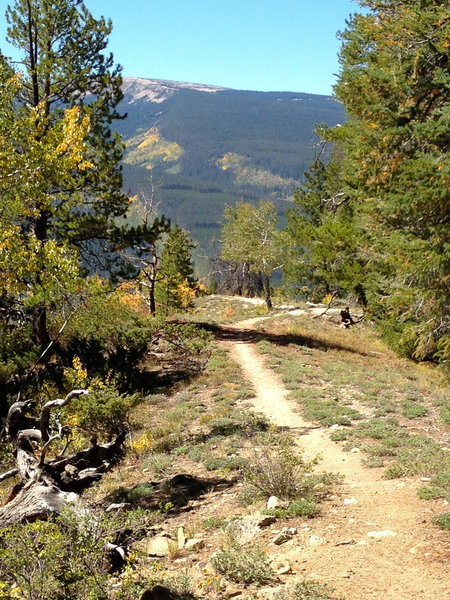 the last bit of easy trail before the descent turns considerably steeper and rockier.