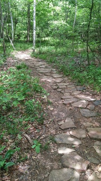 Rock armoring along the Sore Heel Trail