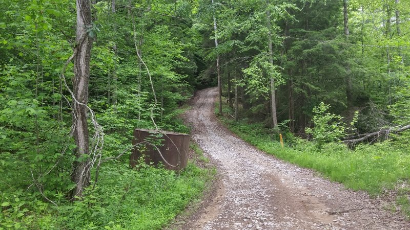 The Flat Holler Trail begins on the left just past the tank, or continue up the hill to the upper end of the trail for a loop run.