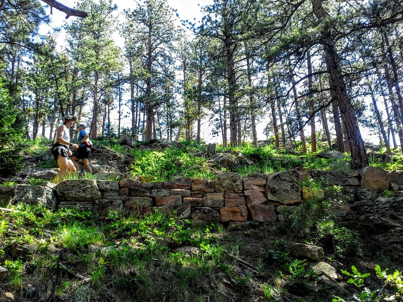 Stay cool in the shade of the pines. Switchback trails lead to the top of the ridge revealing stunning views of the valley below.