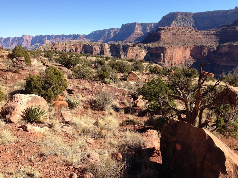 Horseshoe Mesa East