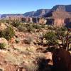 Horseshoe Mesa East