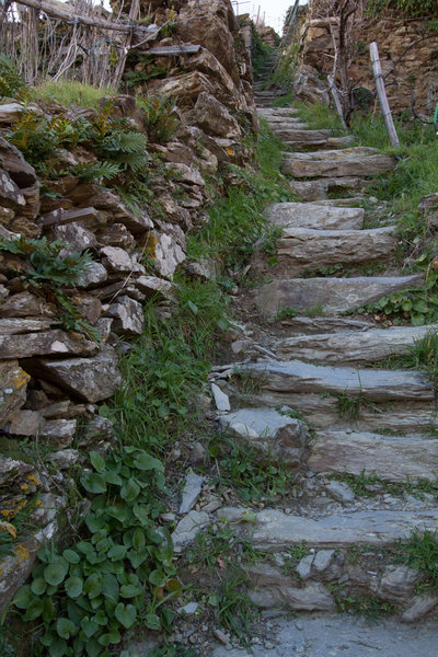 The stair climb from Cinque Terre Trekking gear shop in Manarola