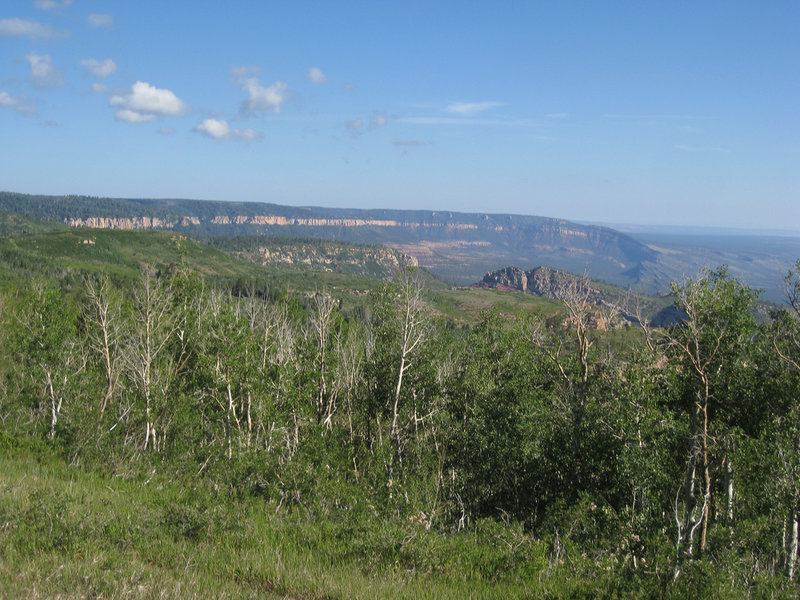 Saddle Mountain Trail views (photo by (brewbooks)