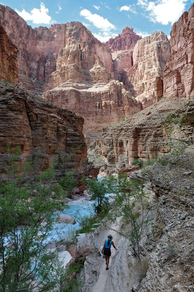 Hiking up Havasu Creek