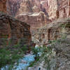 Hiking up Havasu Creek