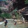 People hiking through Havasu Creek (photo by Richard M. Schreyer)