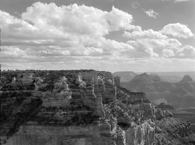 Grand Canyon's Tiyo Point