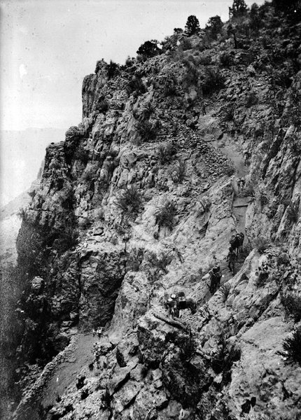 Men leading mules down the Old Bright Angel trail, circa 1905.  (photo by NPS Kolb brothers)