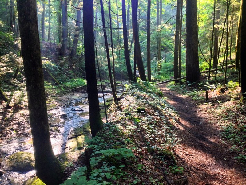 A rare flat section on Buck Trail