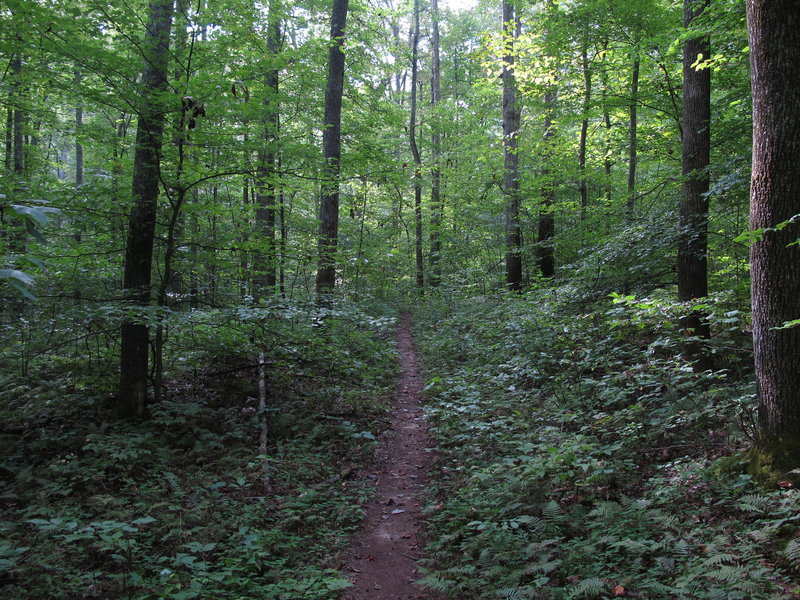 Courthouse Rock Trail