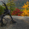 Fall colors in the gorge.