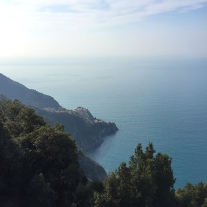 View of Manarola