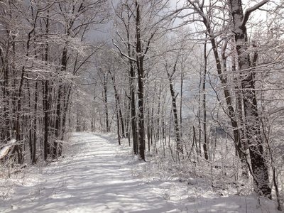A sunny winter run out Tunnel Ridge Road