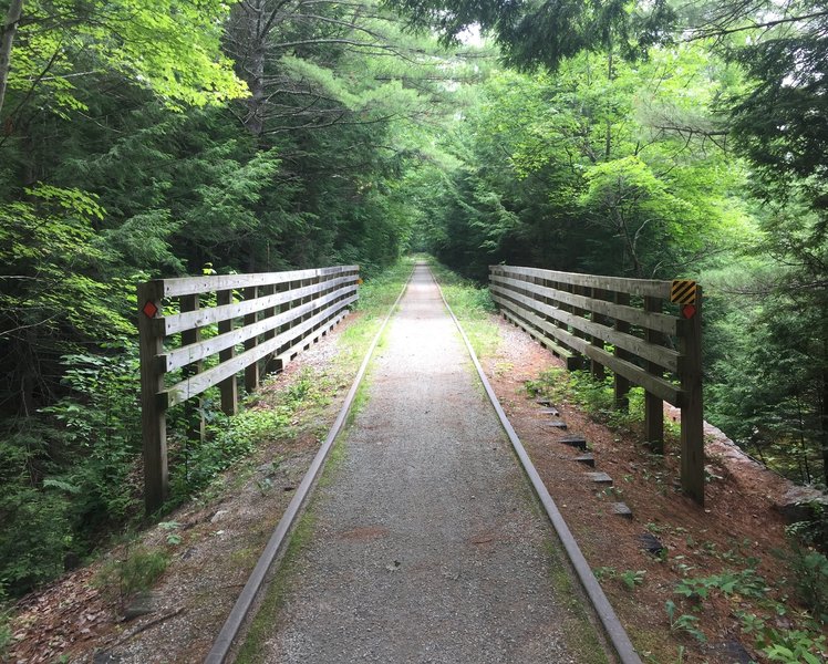 The forest cover goes on for miles on this easy rolling trail.