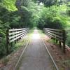 The forest cover goes on for miles on this easy rolling trail.