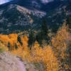 Looking up at Grassy Peak.