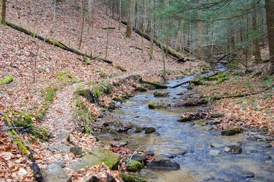 Auxier Branch Trail alongside its namesake
