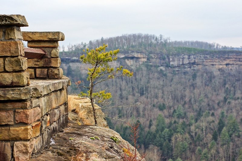 View from the overlook at Chimney Top Rock