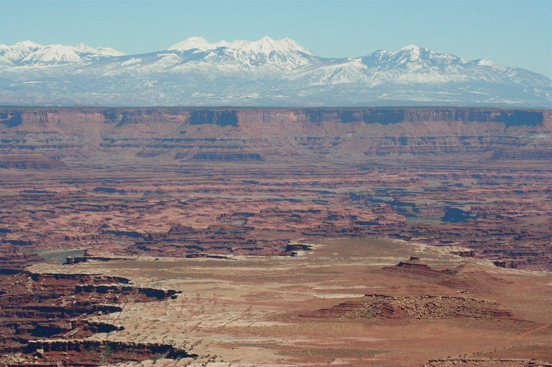 The White Rim from Buck Canyon Overlook