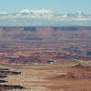 The White Rim from Buck Canyon Overlook