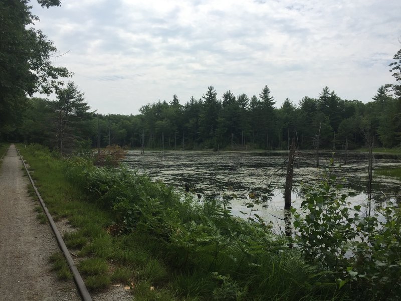 A nice spot for a picnic or fishing along the rail trail.